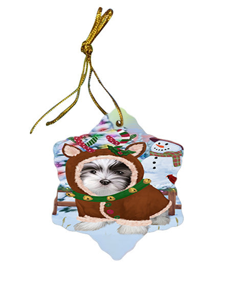 Christmas Gingerbread House Candyfest Malti Tzu Dog Star Porcelain Ornament SPOR56811