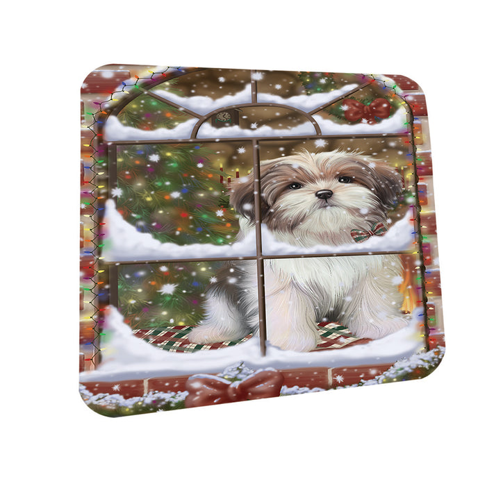 Please Come Home For Christmas Malti Tzu Dog Sitting In Window Coasters Set of 4 CST53899