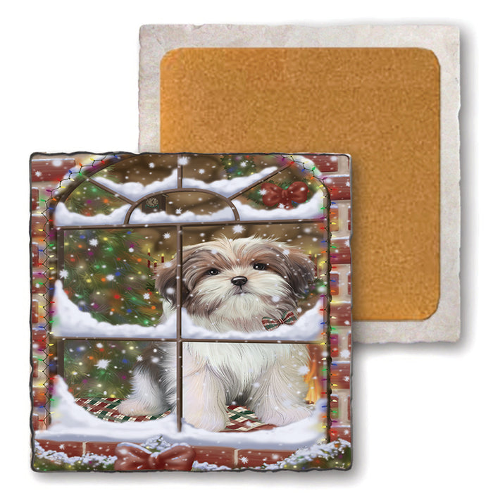 Please Come Home For Christmas Malti Tzu Dog Sitting In Window Set of 4 Natural Stone Marble Tile Coasters MCST48642