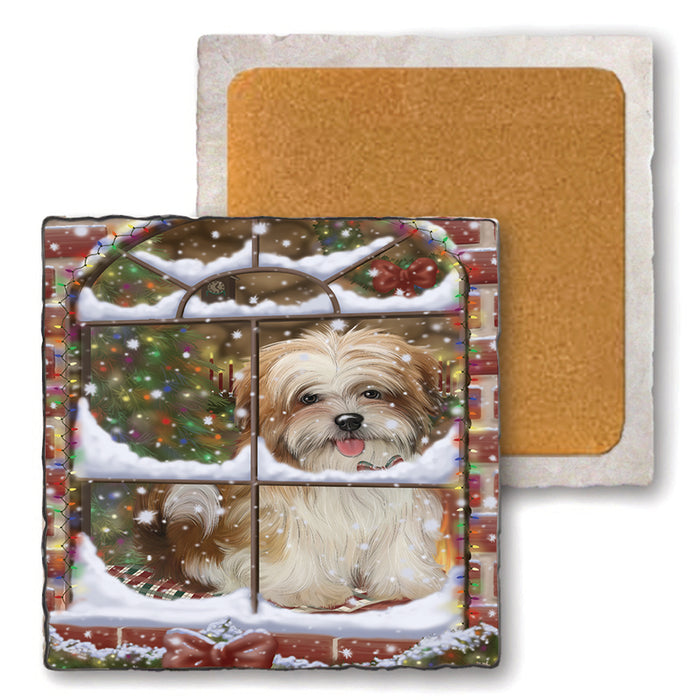Please Come Home For Christmas Malti Tzu Dog Sitting In Window Set of 4 Natural Stone Marble Tile Coasters MCST48942