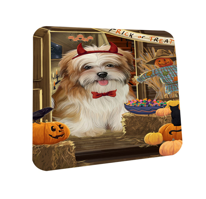 Enter at Own Risk Trick or Treat Halloween Malti Tzu Dog Coasters Set of 4 CST53155