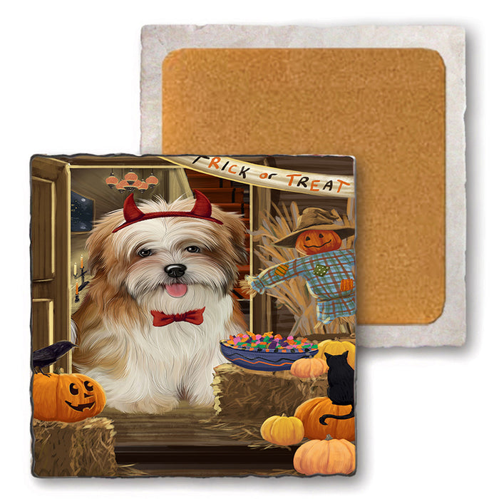 Enter at Own Risk Trick or Treat Halloween Malti Tzu Dog Set of 4 Natural Stone Marble Tile Coasters MCST48197