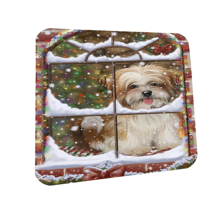 Please Come Home For Christmas Malti Tzu Dog Sitting In Window Coasters Set of 4 CST53601