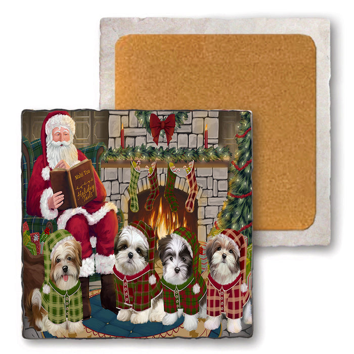 Christmas Cozy Holiday Tails Malti Tzus Dog Set of 4 Natural Stone Marble Tile Coasters MCST50138