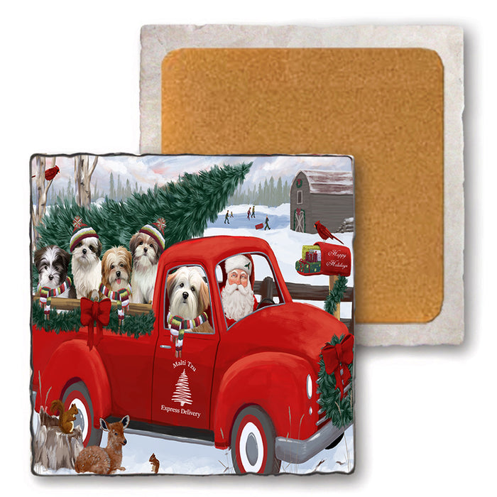 Christmas Santa Express Delivery Malti Tzus Dog Family Set of 4 Natural Stone Marble Tile Coasters MCST50050