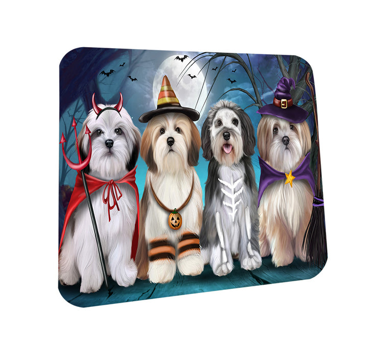 Happy Halloween Trick or Treat Malti Tzus Dog Coasters Set of 4 CST54439