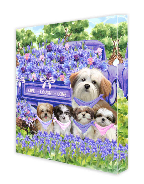 Malti Tzu Canvas: Explore a Variety of Designs, Custom, Digital Art Wall Painting, Personalized, Ready to Hang Halloween Room Decor, Pet Gift for Dog Lovers