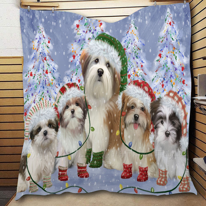 Christmas Lights and Malti Tzu Dogs  Quilt Bed Coverlet Bedspread - Pets Comforter Unique One-side Animal Printing - Soft Lightweight Durable Washable Polyester Quilt