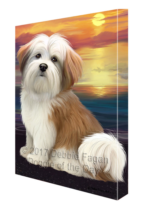 Malti Tzu Dog Canvas Wall Art CVS52059