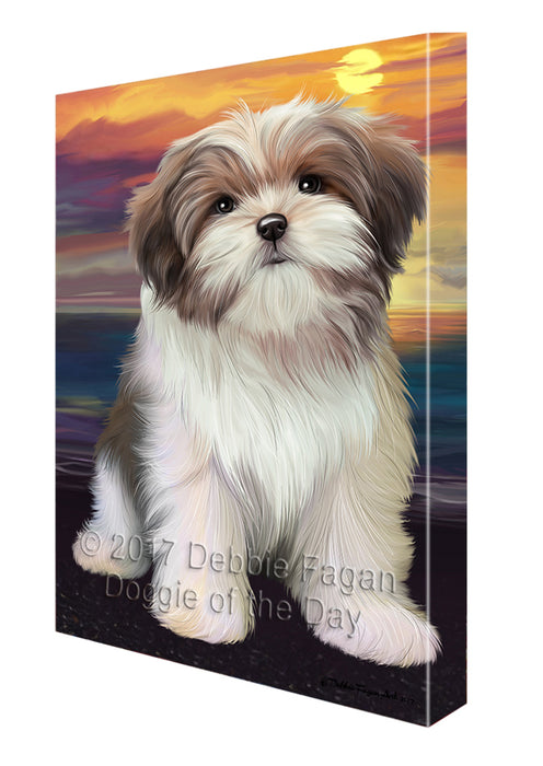 Malti Tzu Dog Canvas Wall Art CVS52077