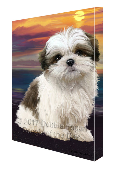 Malti Tzu Dog Canvas Wall Art CVS52086