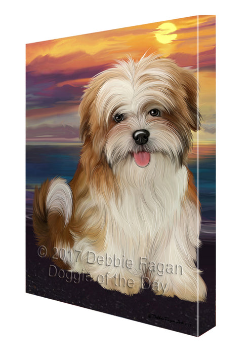 Malti Tzu Dog Canvas Wall Art CVS52095