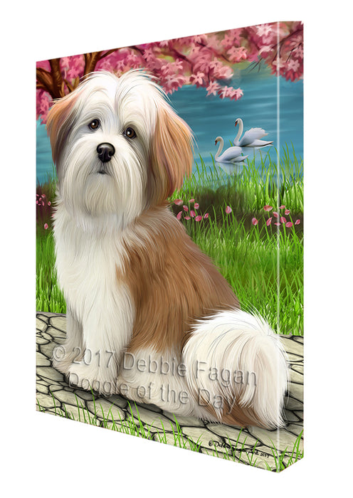 Malti Tzu Dog Canvas Wall Art CVS52113