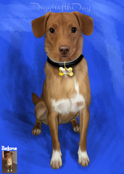 Digital Painting PERSONALIZED PET PORTRAIT! Custom Pet Dog or Cat Art