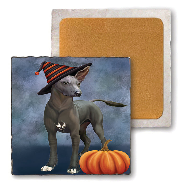 Happy Halloween Mexican Hairless Dog Wearing Witch Hat with Pumpkin Set of 4 Natural Stone Marble Tile Coasters MCST49789