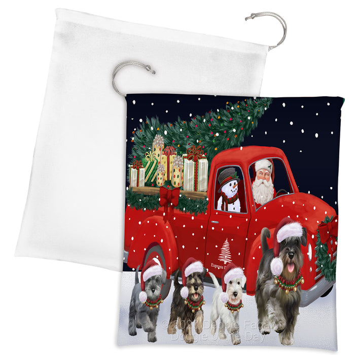 Christmas Express Delivery Red Truck Running Schnauzer Dogs Drawstring Laundry or Gift Bag LGB48911