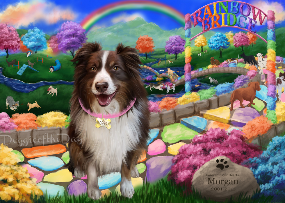 Custom Digital Painting Art Photo Personalized Dog Cat in Rainbow Bridge Background