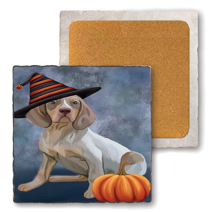 Happy Halloween Navarro Dog Wearing Witch Hat with Pumpkin Set of 4 Natural Stone Marble Tile Coasters MCST49903
