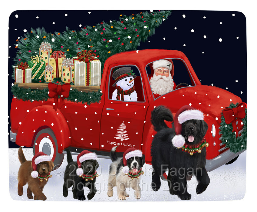Christmas Express Delivery Red Truck Running Newfoundland Dogs Blanket BLNKT141868