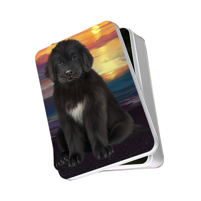 Newfoundland Dog Photo Storage Tin PITN52793