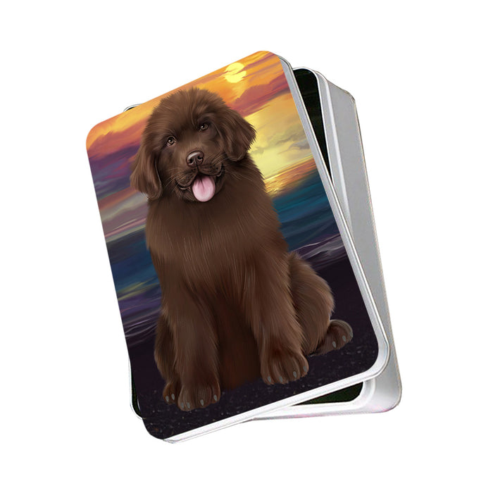 Newfoundland Dog Photo Storage Tin PITN52794
