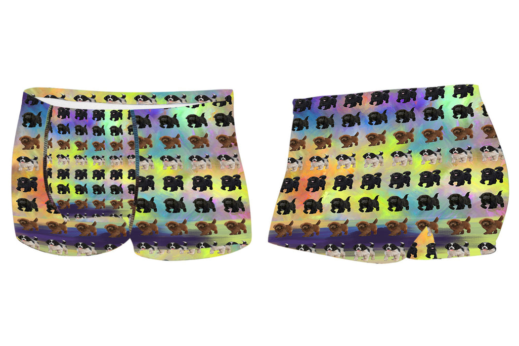 Paradise Wave Newfoundland DogsMen's All Over Print Boxer Briefs