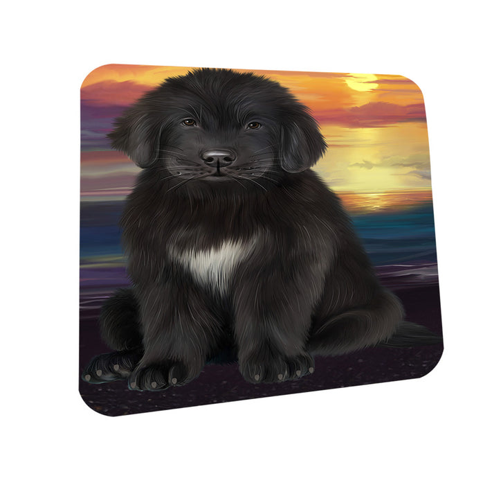 Newfoundland Dog Coasters Set of 4 CST54575