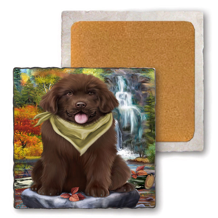 Scenic Waterfall Newfoundland Dog Set of 4 Natural Stone Marble Tile Coasters MCST49673