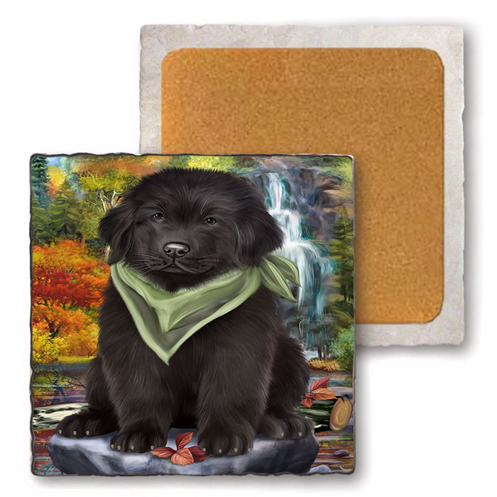 Scenic Waterfall Newfoundland Dog Set of 4 Natural Stone Marble Tile Coasters MCST49675