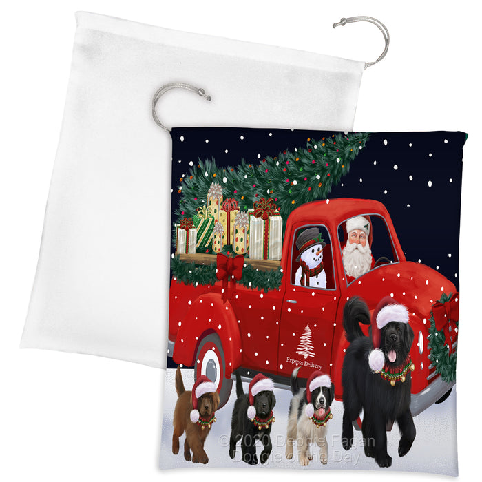 Christmas Express Delivery Red Truck Running Newfoundland Dogs Drawstring Laundry or Gift Bag LGB48912