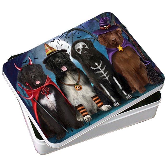 Happy Halloween Trick or Treat Newfoundlands Dog Photo Storage Tin PITN54425