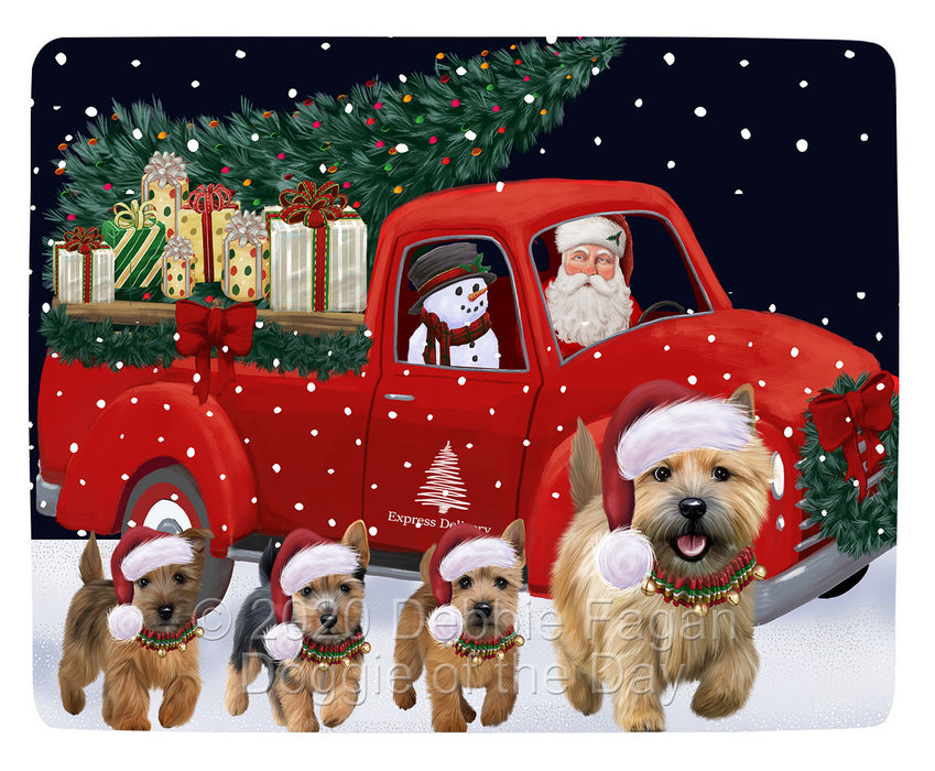 Christmas Express Delivery Red Truck Running Norwich Terrier Dogs Blanket BLNKT141873