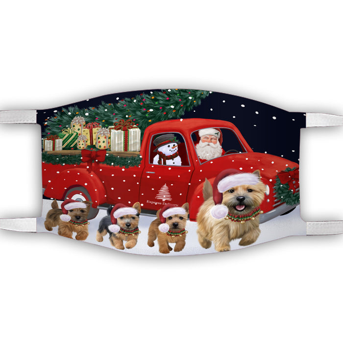Christmas Express Delivery Red Truck Running Norwich Terrier Dogs Face Mask FM49880