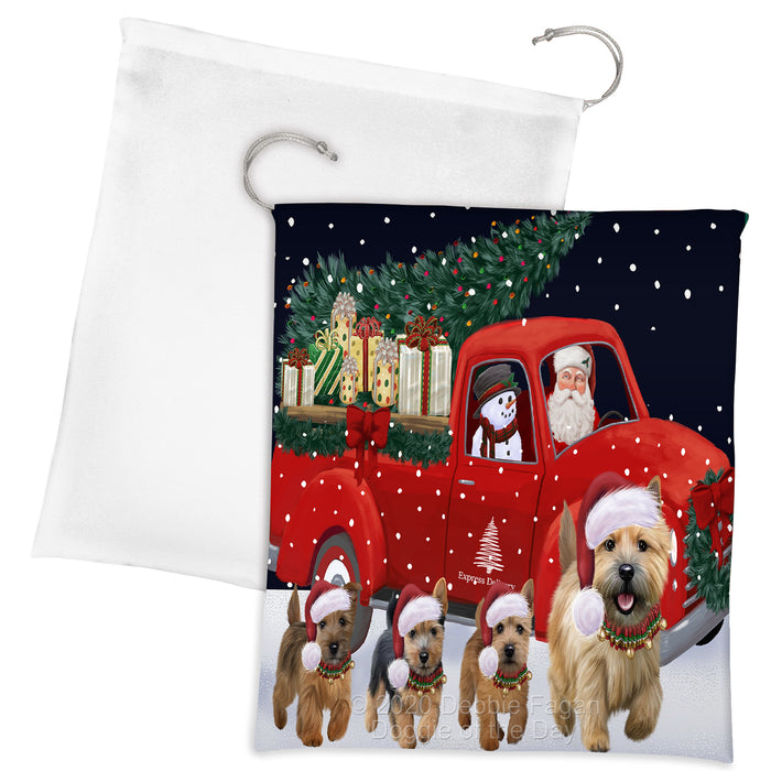 Christmas Express Delivery Red Truck Running Norwich Terrier Dogs Drawstring Laundry or Gift Bag LGB48913