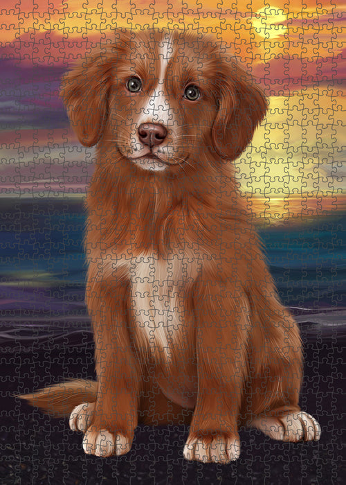 Sunset Nova Scotia Duck Toller Retriever Dog Portrait Jigsaw Puzzle for Adults Animal Interlocking Puzzle Game Unique Gift for Dog Lover's with Metal Tin Box PZL132