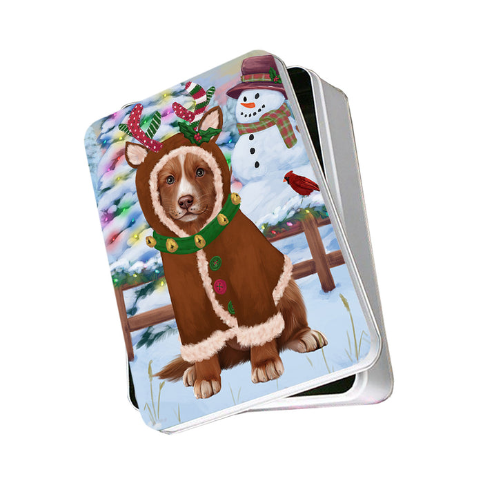 Christmas Gingerbread House Candyfest Nova Scotia Duck Toller Retriever Dog Photo Storage Tin PITN56402