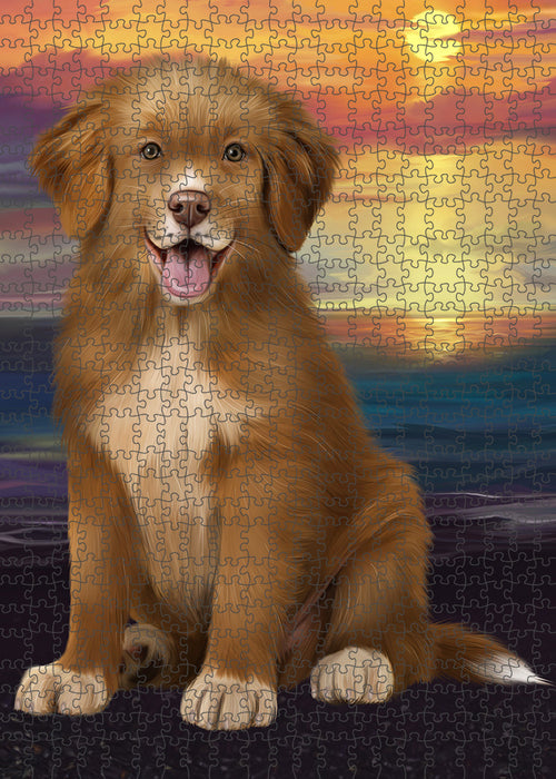 Sunset Nova Scotia Duck Toller Retriever Dog Portrait Jigsaw Puzzle for Adults Animal Interlocking Puzzle Game Unique Gift for Dog Lover's with Metal Tin Box PZL133
