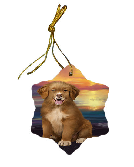 Sunset Nova Scotia Duck Toller Retriever Dog Star Porcelain Ornament SPOR58039