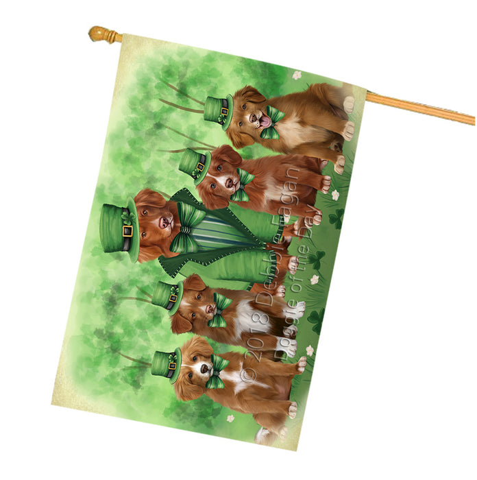 St. Patricks Day Irish Portrait Nova Scotia Duck Toller Retriever Dogs House Flag FLG65050