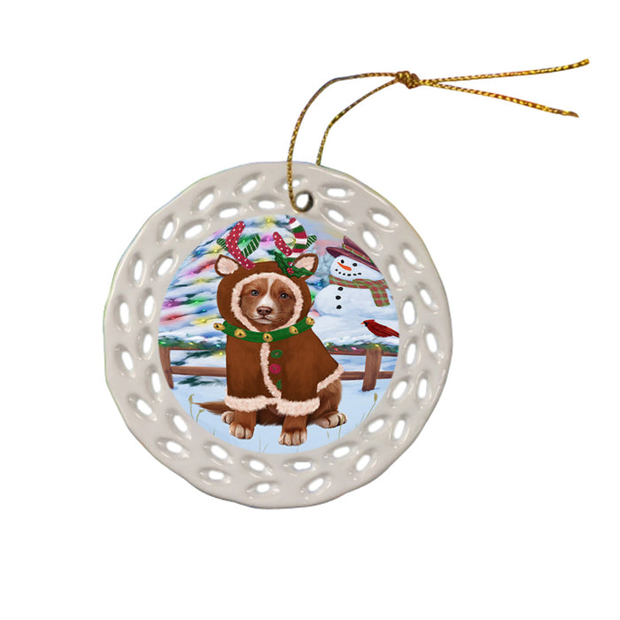Christmas Gingerbread House Candyfest Nova Scotia Duck Toller Retriever Dog Ceramic Doily Ornament DPOR56815
