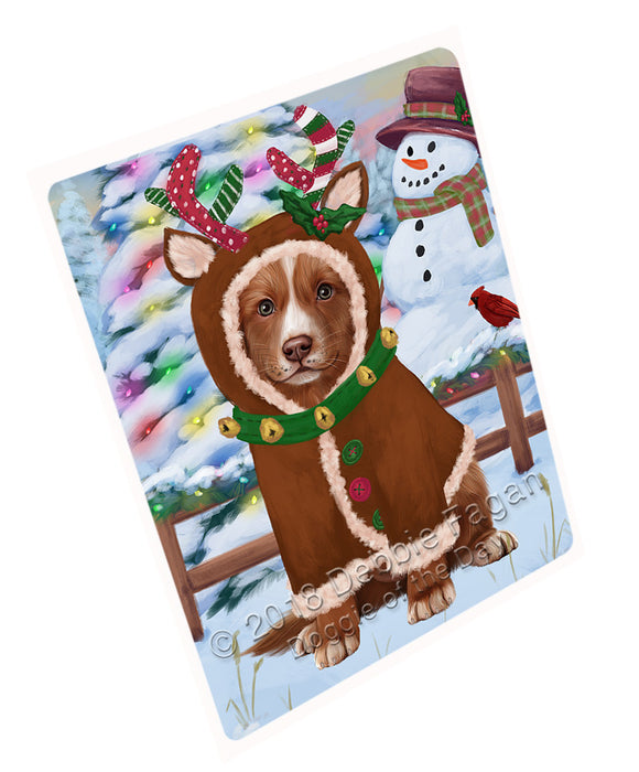 Christmas Gingerbread House Candyfest Nova Scotia Duck Toller Retriever Dog Blanket BLNKT127551