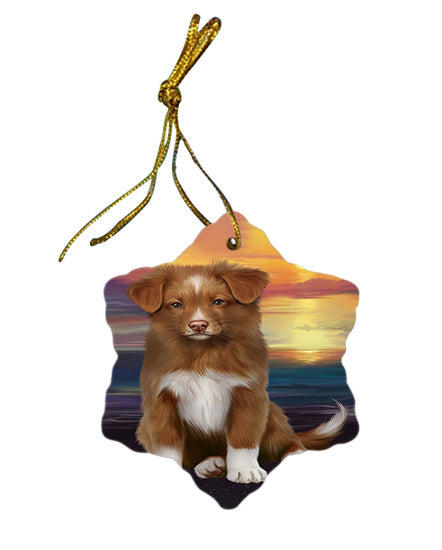 Sunset Nova Scotia Duck Toller Retriever Dog Star Porcelain Ornament SPOR58040