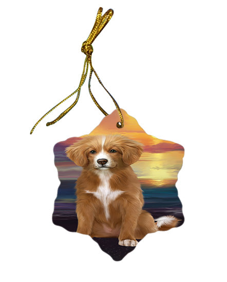 Sunset Nova Scotia Duck Toller Retriever Dog Star Porcelain Ornament SPOR58041