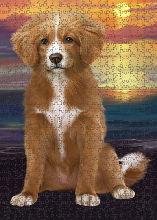Sunset Nova Scotia Duck Toller Retriever Dog Portrait Jigsaw Puzzle for Adults Animal Interlocking Puzzle Game Unique Gift for Dog Lover's with Metal Tin Box PZL135