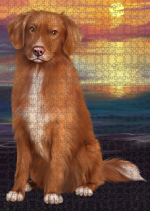Sunset Nova Scotia Duck Toller Retriever Dog Portrait Jigsaw Puzzle for Adults Animal Interlocking Puzzle Game Unique Gift for Dog Lover's with Metal Tin Box PZL136