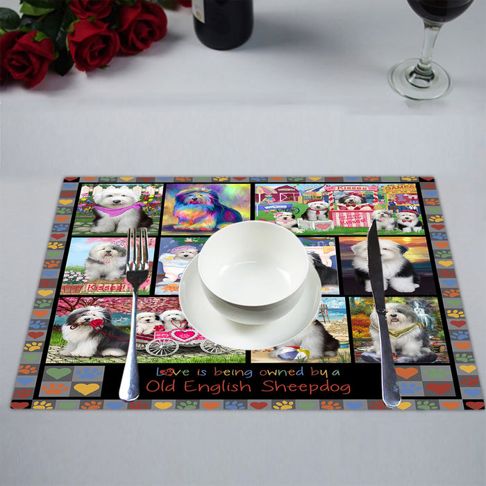 Love is Being Owned Old English Sheepdog Grey Placemat
