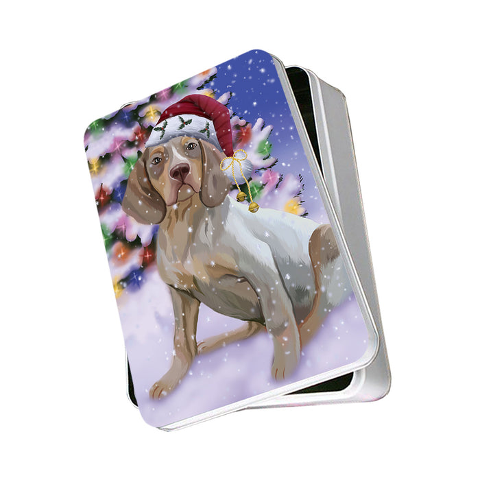 Winterland Wonderland Pachon Navarr Dog In Christmas Holiday Scenic Background Photo Storage Tin PITN55654