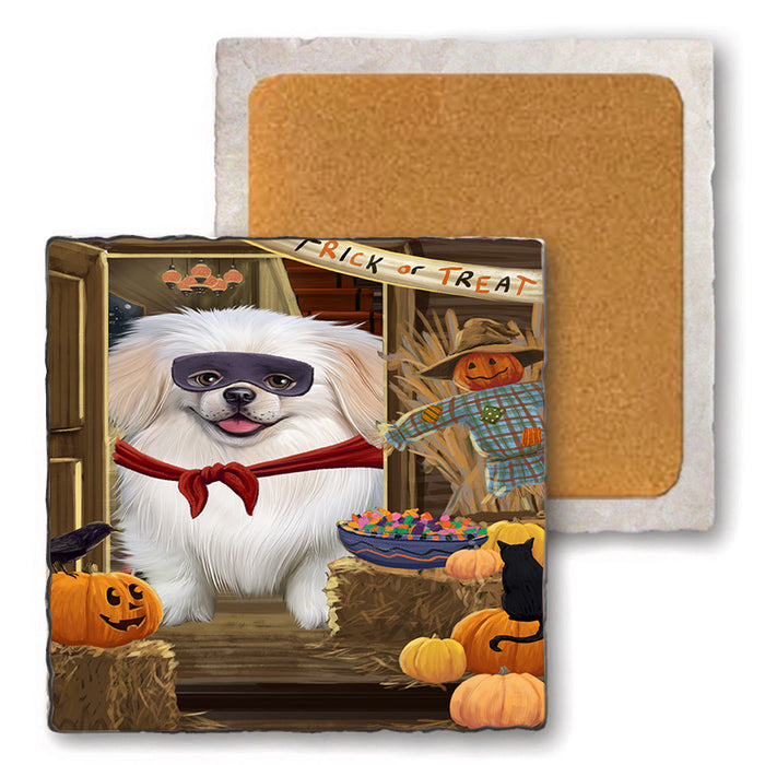 Enter at Own Risk Trick or Treat Halloween Pekingese Dog Set of 4 Natural Stone Marble Tile Coasters MCST48205