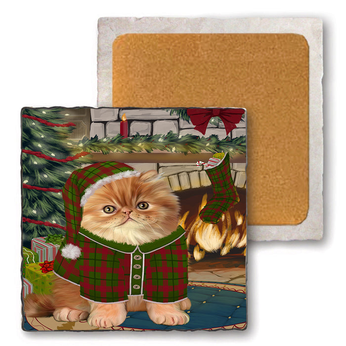 The Stocking was Hung Persian Cat Set of 4 Natural Stone Marble Tile Coasters MCST50554