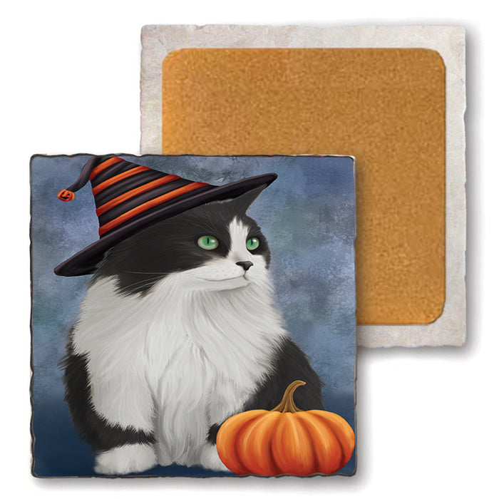 Happy Halloween Persian Cat Wearing Witch Hat with Pumpkin Set of 4 Natural Stone Marble Tile Coasters MCST49966